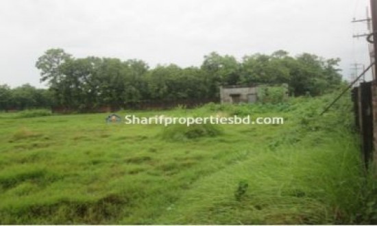 Property Name